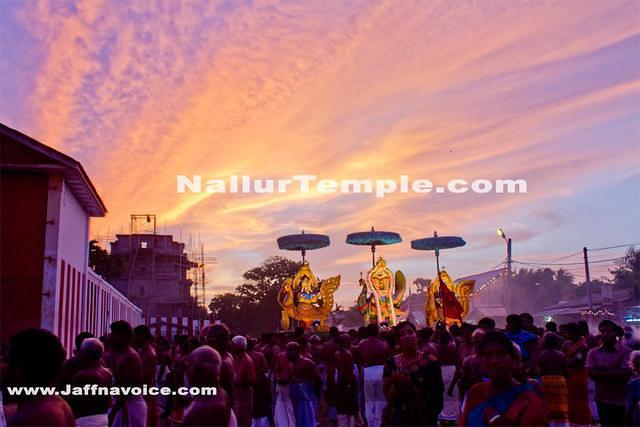Day11-Nallur Kandaswamy Kovil Festival 2013 (17)