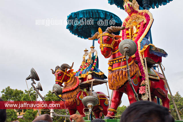 Nallur Temple festival-2012-Day05 (5)