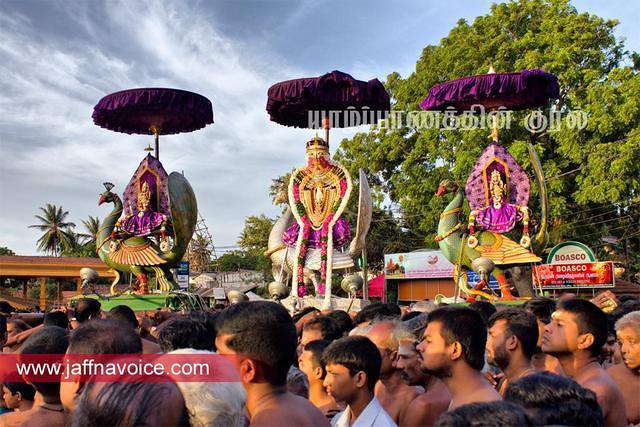 nallur kandaswamy temple festival 2012 day19 (9)