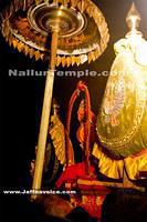 Arunagirinathar pooja - Nallur Festival 2013 (7)