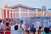 Day11-Nallur Kandaswamy Kovil Festival 2013 (15)