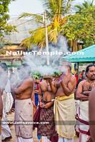 Day11-Nallur Kandaswamy Kovil Festival 2013 (2)