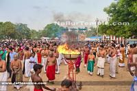 Day11-Nallur Kandaswamy Kovil Festival 2013 (5)