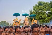 Day11-Nallur Kandaswamy Kovil Festival 2013 (6)