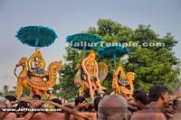 Day11-Nallur Kandaswamy Kovil Festival 2013 (7)
