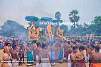 Day11-Nallur Kandaswamy Kovil Festival 2013 (9)