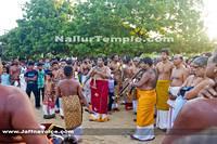 Day12-Nallur Kandaswamy Kovil Festival 2013 (10)