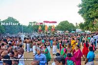 Day12-Nallur Kandaswamy Kovil Festival 2013 (14)