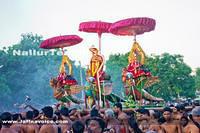 Day12-Nallur Kandaswamy Kovil Festival 2013 (15)