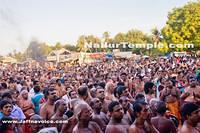 Day12-Nallur Kandaswamy Kovil Festival 2013 (5)