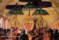 Day13-Nallur Kandaswamy Kovil Festival 2013