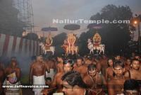 Day13-Nallur Kandaswamy Kovil Festival 2013 (11)