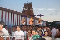 Day13-Nallur Kandaswamy Kovil Festival 2013 (8)