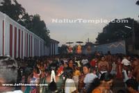 Day13-Nallur Kandaswamy Kovil Festival 2013 (9)