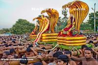 Day14-Nallur Kandaswamy Kovil Festival 2013 (13)