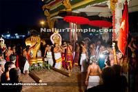 Day14-Nallur Kandaswamy Kovil Festival 2013 (20)