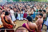 Day14-Nallur Kandaswamy Kovil Festival 2013 (3)