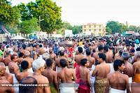 Day14-Nallur Kandaswamy Kovil Festival 2013 (5)