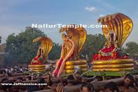 Day14-Nallur Kandaswamy Kovil Festival 2013 (9)
