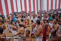Day15-Nallur Kandaswamy Kovil Festival 2013 (11)