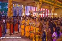 Day15-Nallur Kandaswamy Kovil Festival 2013 (17)