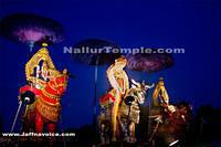 Day15-Nallur Kandaswamy Kovil Festival 2013 (18)