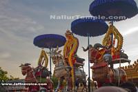 Day15-Nallur Kandaswamy Kovil Festival 2013 (2)