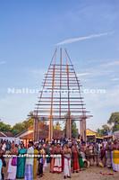 Day15-Nallur Kandaswamy Kovil Festival 2013 (3)