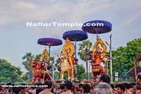 Day15-Nallur Kandaswamy Kovil Festival 2013 (9)