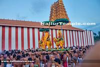 Day17-Nallur Kandaswamy Kovil Festival 2013 (11)