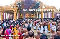 Day17-Nallur Kandaswamy Kovil Festival 2013 (3)