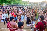 Day18-Nallur Kandaswamy Kovil Festival 2013 (2)