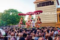 Day18-Nallur Kandaswamy Kovil Festival 2013 (3)