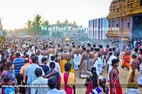 Day18-Nallur Kandaswamy Kovil Festival 2013 (8)