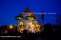 Day19-Nallur Kandaswamy Kovil Festival 2013 (11)