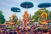 Day19-Nallur Kandaswamy Kovil Festival 2013 (6)