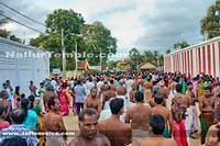 Nallur Kandaswamy Kovil Festival 2013-Day9 (7)