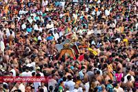 nallur kandaswamy kovil chariot festival-2012 (11)