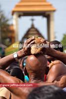 nallur kandaswamy kovil chariot festival-2012 (41)
