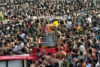 nallur kandaswamy kovil chariot festival-2012 (8)