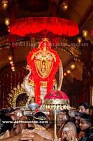 Nallur kandaswamy temple Festitival-2013 (10)