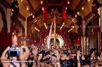 Nallur kandaswamy temple Festitival-2013 (3)