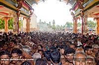 Nallur kandaswamy temple Festitival-2013 (4)