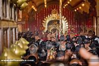 Nallur kandaswamy temple Festitival-2013 (5)