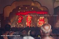 Nallur kandaswamy temple Festitival-2013 (9)