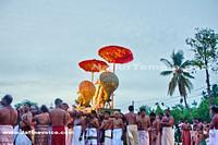 Nallur Kandaswamy Kovil Festival 2013 -Day4 (15)