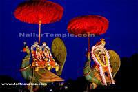 Nallur Kandaswamy Kovil Festival 2013 -Day4 (16)