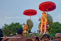 Nallur Kandaswamy Kovil Festival 2013 -Day4 (8)