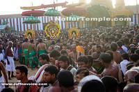 Nallur Kandaswamy Kovil Saparam festival 2013 (1)