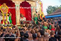 Nallur Kandaswamy Kovil Saparam festival 2013 (11)